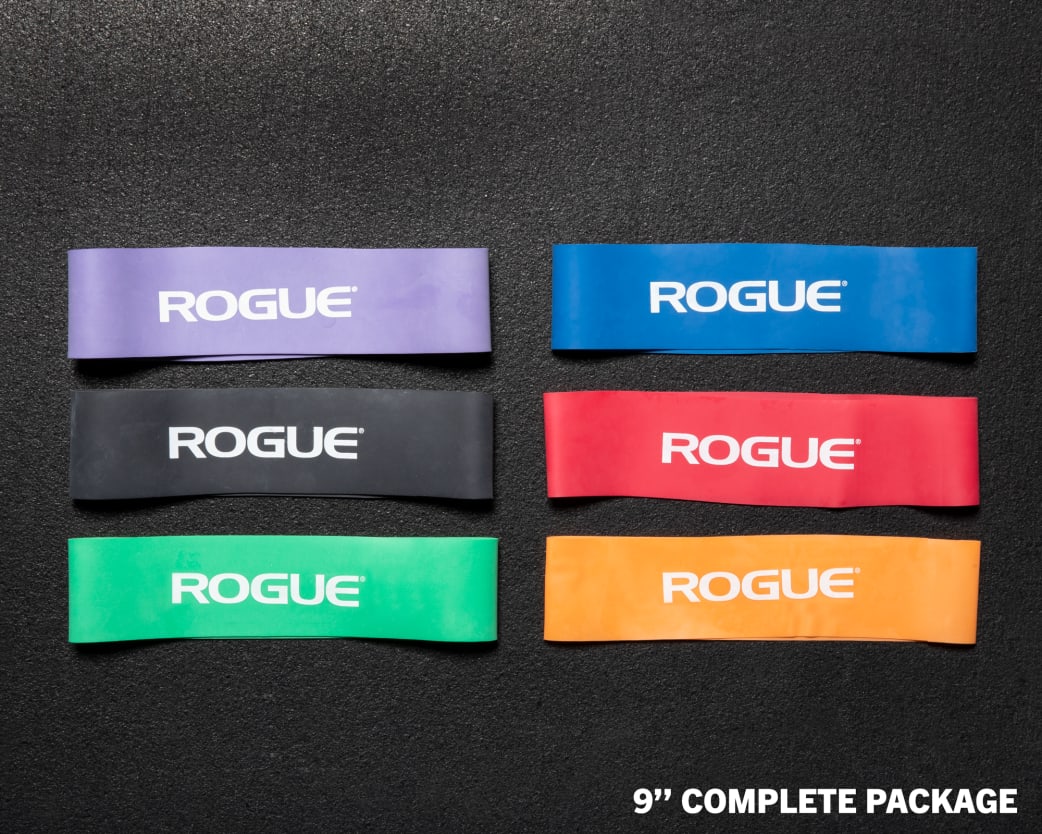 Rogue echo resistance 2025 bands